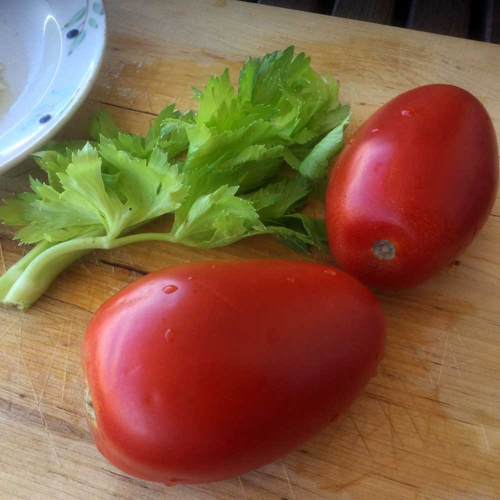 Ingredientes. Crema de tomate apio y yogur.